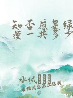 知否应是绿肥红瘦一共多少集