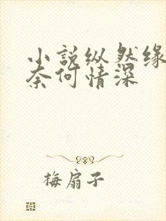小说纵然缘浅,奈何情深