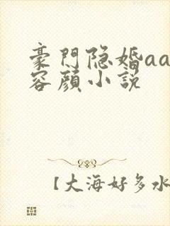 豪门隐婚aa制容颜小说
