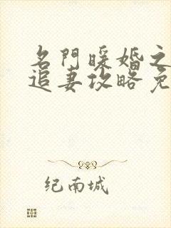 名门暖婚之权爷追妻攻略免费阅读