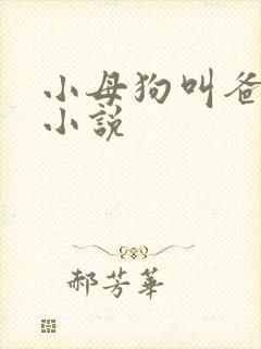 小母狗叫爸爸乖小说