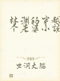 林渊的穿越娶三个老婆小说名字