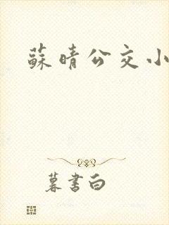 苏晴公交小说