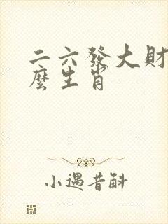 二六发大财是什么生肖