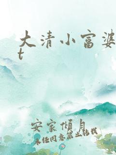 大清小富婆txt
