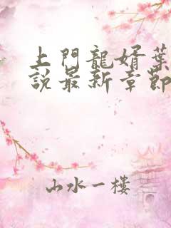 上门龙婿叶辰小说最新章节在线
