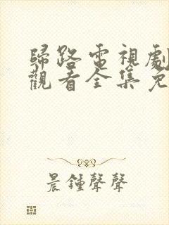 归路电视剧在线观看全集免费播放