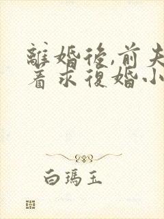 离婚后,前夫哭着求复婚小说阅读