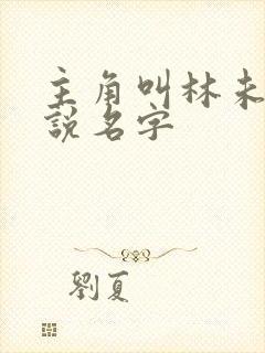 主角叫林未的小说名字