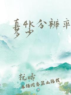 真4k分辨率是多少