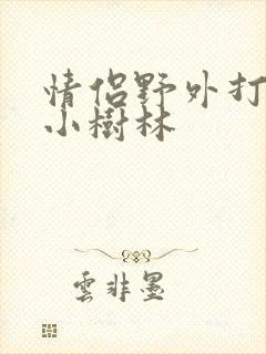 情侣野外打野战小树林