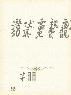 潜伏电视剧全集30集免费观看 潜伏电视剧全集30集免费观看