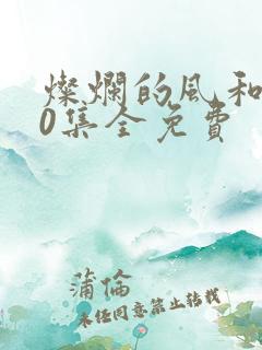 灿烂的风和海40集全免费