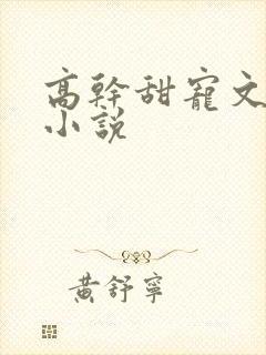 高干甜宠文短篇小说