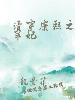清穿康熙之武氏宁妃