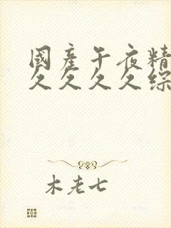 国产午夜精品久久久久久综合