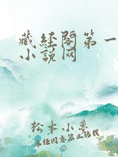 藏经阁第一版主小说网