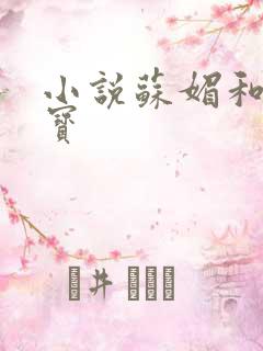 小说苏媚和赵大宝