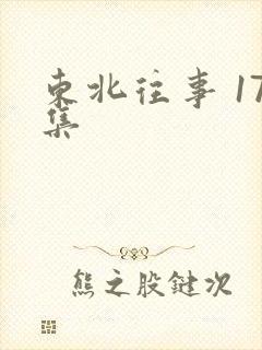 东北往事 17集