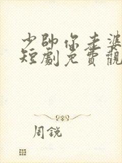 少帅你老婆跑了短剧免费观看全集