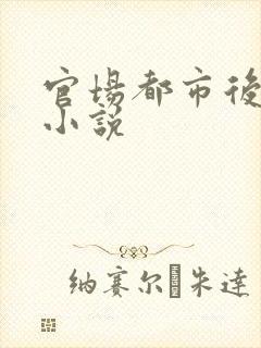 官场都市后宫录小说