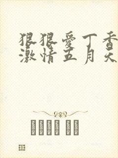 狠狠爱丁香婷婷激情五月天