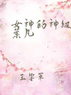 女神的神级保镖叶凡