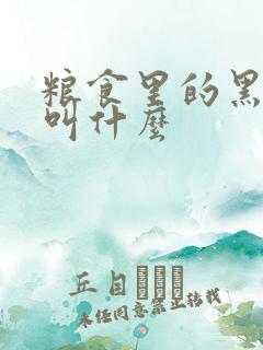 粮食里的黑虫子叫什么