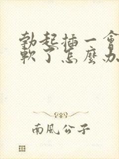 勃起插一会儿就软了怎么办 勃起插一会儿就软了怎么办