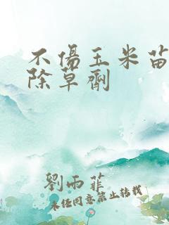 不伤玉米苗专用除草剂