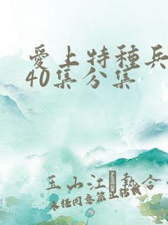 爱上特种兵1—40集分集