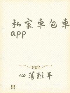 私家车包车出行app
