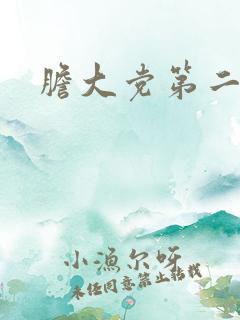 胆大党第二季9