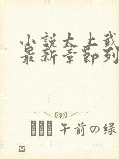 小说太上武神诀最新章节列表