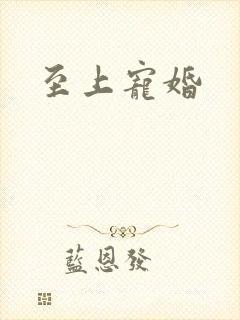 至上宠婚