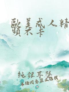 欧美成人精品视频不卡