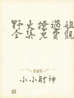 野火撩过姐姐心全集免费观看