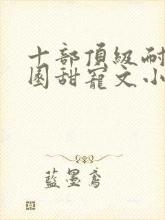 十部顶级耐看校园甜宠文小说