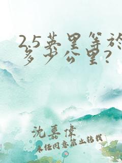 2.5英里等于多少公里?