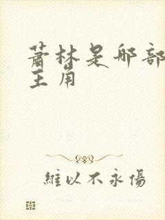 萧林是哪部小说主角