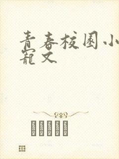 青春校园小说甜宠文