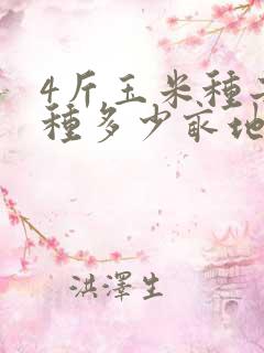4斤玉米种子能种多少亩地