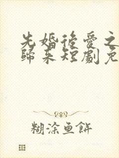 先婚后爱之亡夫归来短剧免费观看