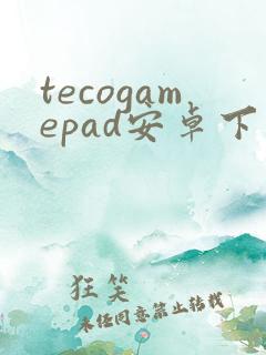 tecogamepad安卓下载