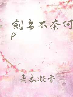 剑名不奈何副cp