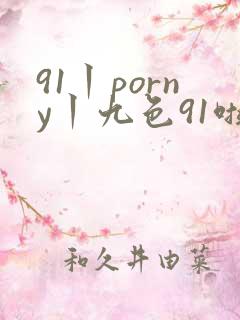 91丨porny丨九色91啦