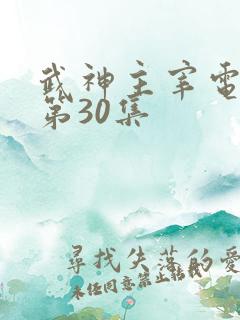 武神主宰电视剧第30集