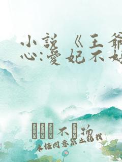 小说 《王爷当心:爱妃不好惹》