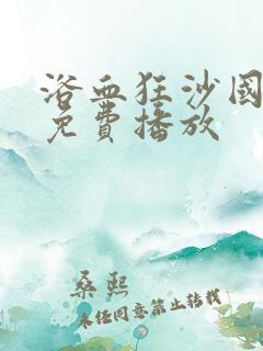 浴血狂沙国语版免费播放