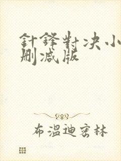 针锋对决小说无删减版